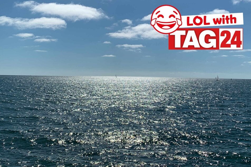 Joke of the Day for April 9, 2026: An ocean of funny!