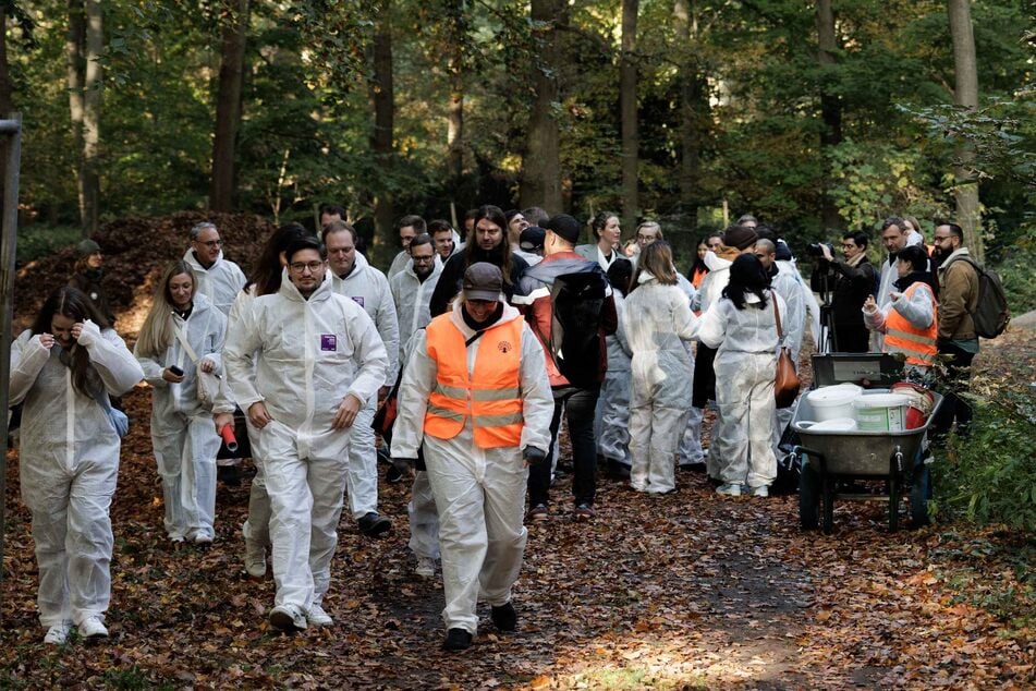 Im Berliner Tiergarten pinselten Freiwillige am heutigen Freitag Bäume mit weißer Farbe an.