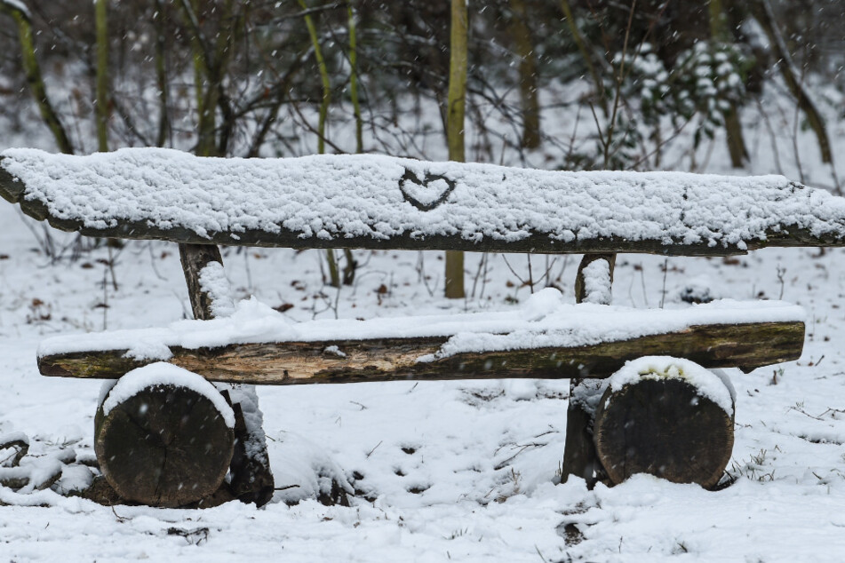 Eine Bank im Wald ist mit Schnee bedeckt.