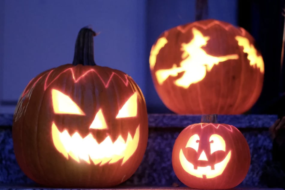 Die Kinder waren von Haus zu Haus gegangen und hierbei angegriffen worden. (Symbolfoto)
