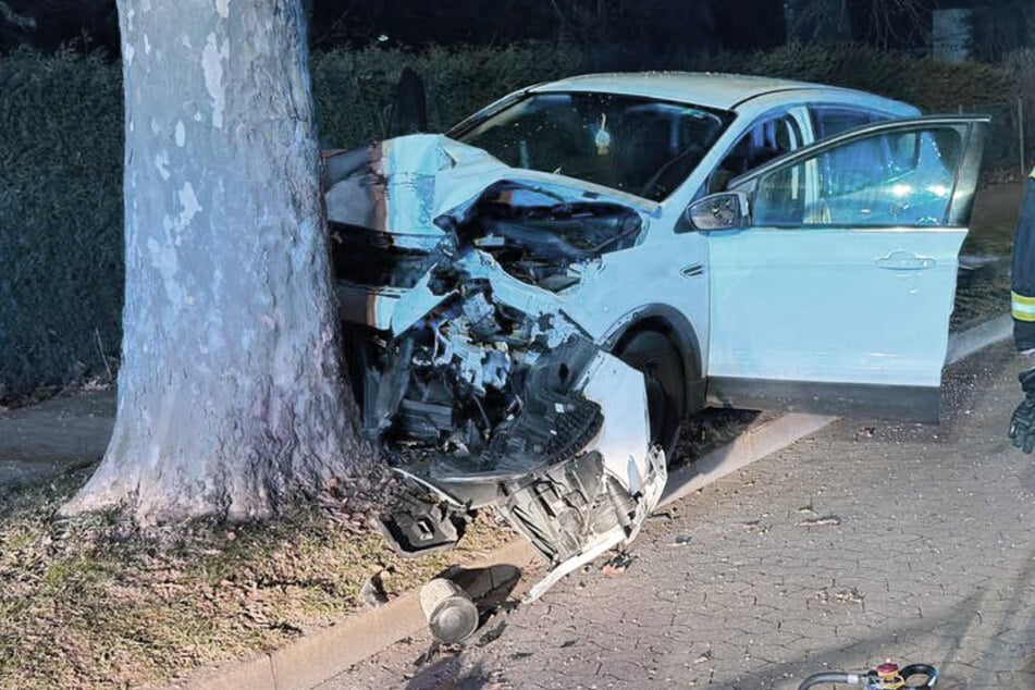 Alle vier Insassen wurden bei dem Unfall verletzt.