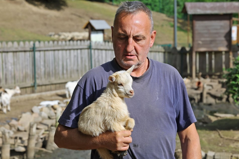 Tierpfleger Stefan Weber freut sich, dass die Ziege wieder da ist.