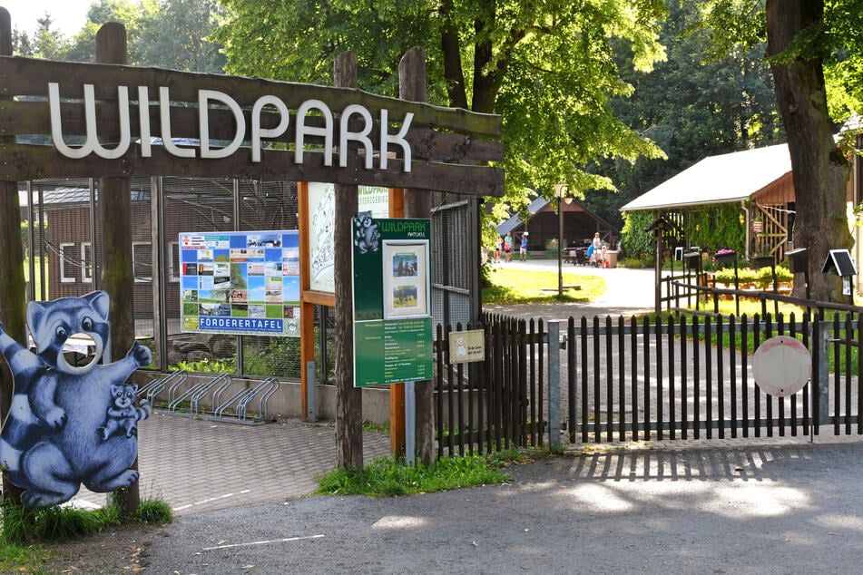 Den perfekten Start in die Herbst-Saison habt ihr im Wildpark Altenberg. (Archivfoto)