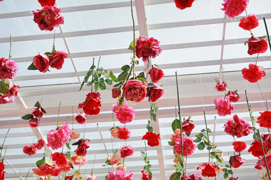 Kopfüber an einer Schnur befestigt, trocknen Rosen am besten.