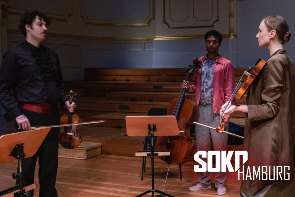 Geigenspieler in Hamburger Konzerthaus von Scheinwerfer erschlagen, SOKO eingeschaltet