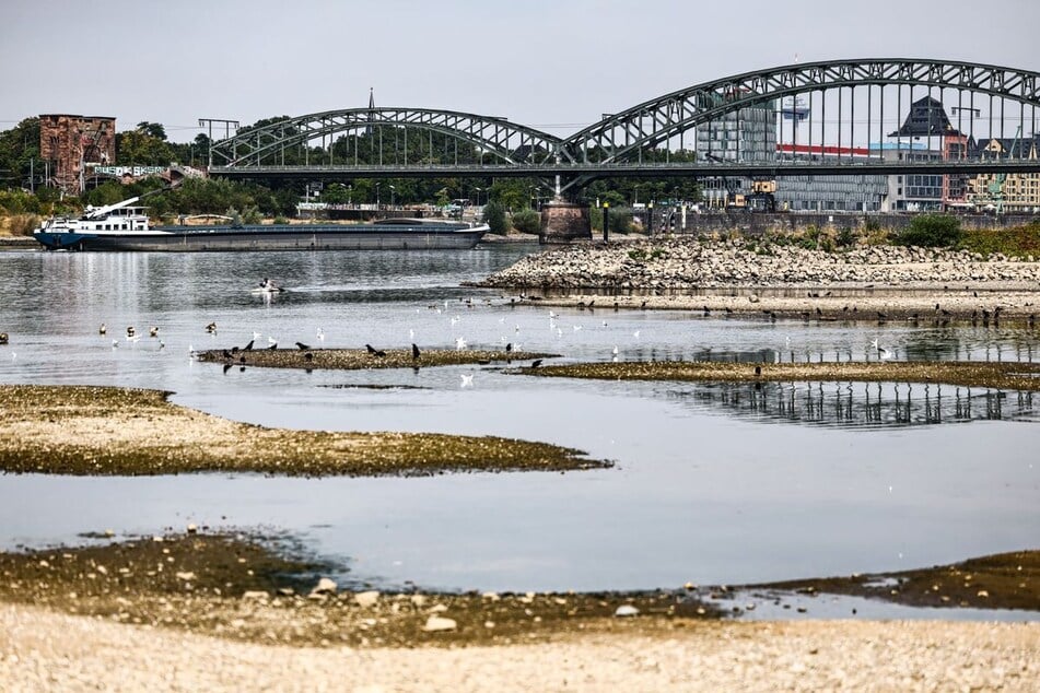Der Rheinpegel bei Köln ist auf einen historischen Tiefstand gesunken.