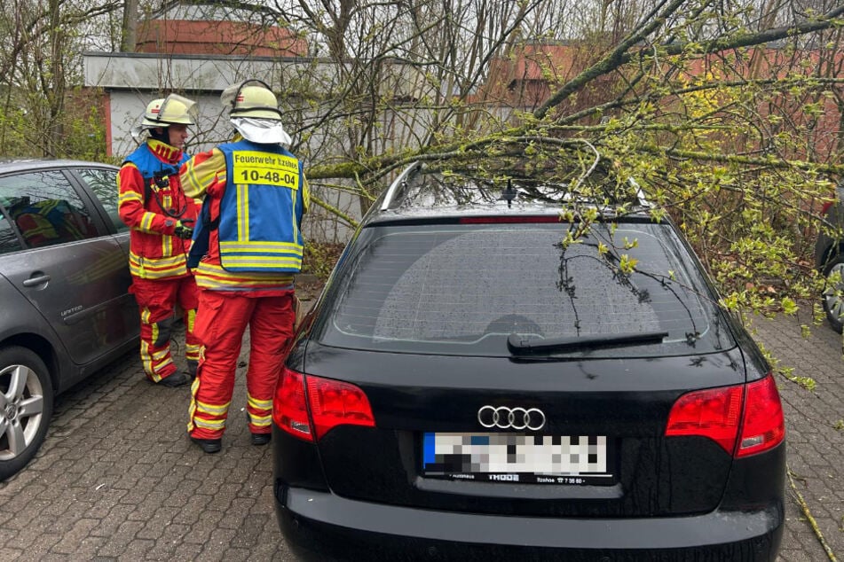 In Itzehoe stürzte ein kleinerer Baum auf zwei geparkte Autos. Die Feuerwehr rückte an, verletzt wurde niemand.
