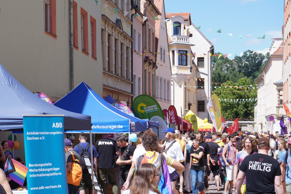 Besucher tummelten sich auf dem Markplatz und in den Straßen an diversen Infoständen.