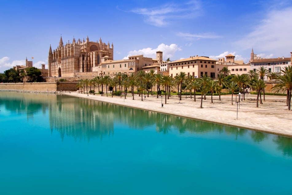 Viele Urlauber reisen dieses Jahr wieder nach Mallorca.