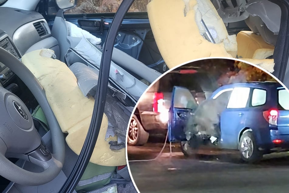Bär sperrt sich in Subaru ein, dann beginnt die Orgie der Zerstörung