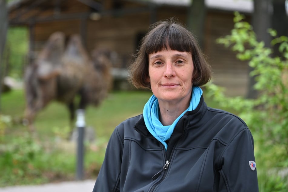 Tierparkchefin Anja Dube freut sich, dass Luchskatze Elisabeth ausgewildert wurde.