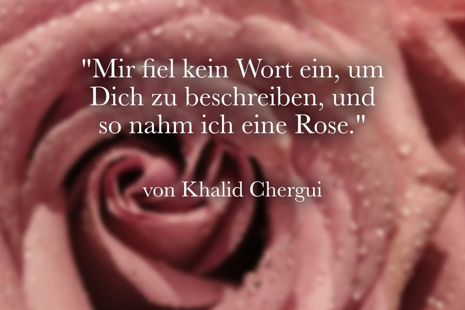 Khalid Chergui meinte: "Mir fiel kein Wort ein, um Dich zu beschreiben, und so nahm ich eine Rose."