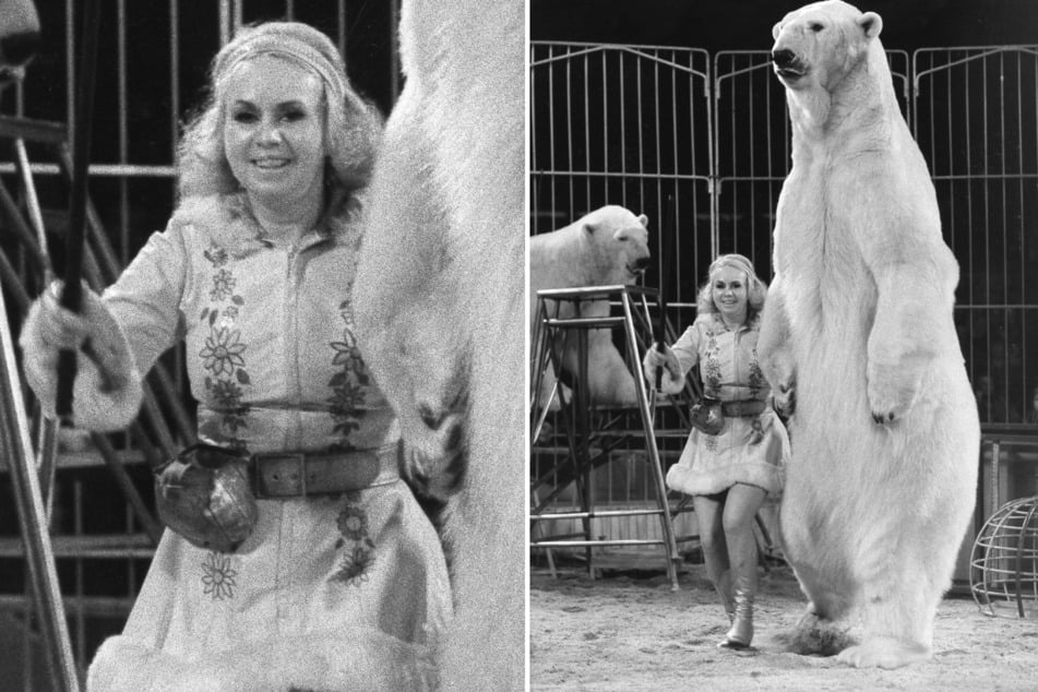 Ursula Böttcher 1983 in der Manege mit ihren geliebten Eisbären.