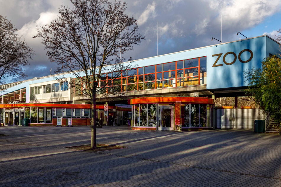 Zoo in Not: Bis Ende Juni kamen statt der erwarteten 160.000 nur gut 134.000 Gäste.