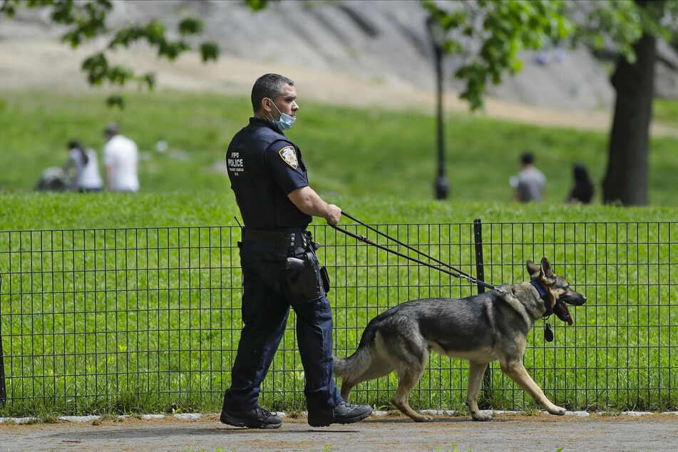 Ein Polizist patrouilliert im Central Park in New York mit seinem Schäferhund. Der berühmte Park wurde kürzlich Schauplatz eines rassistischen Vorfalls.