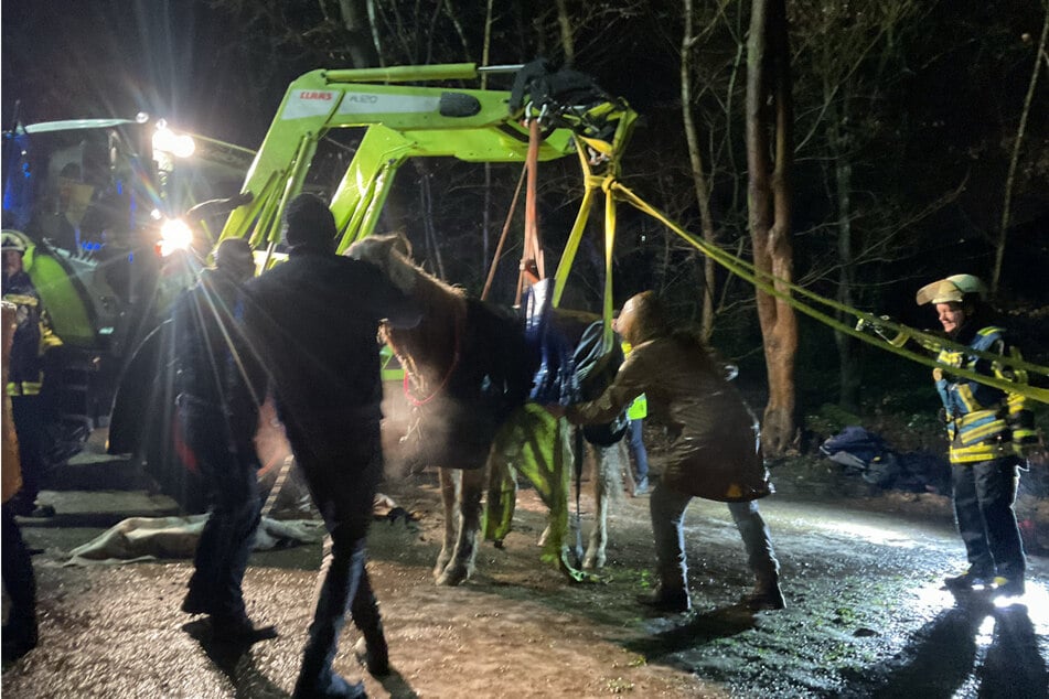 Die Feuerwehr Bochum war im Einsatz, um einem gestürzten Pferd wieder auf die Beine zu helfen.