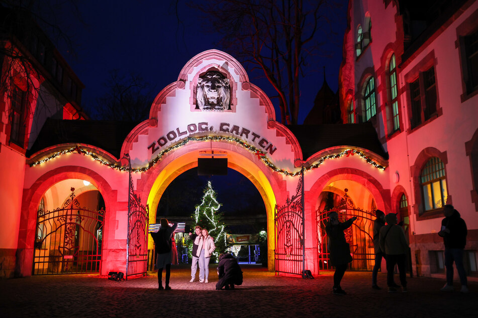 Nach zwei Jahren coronabedingter Pause erstrahlen ab dem 5. Januar Fassaden, Gehege und das Gondwanaland des Leipziger Zoos in bunten Farben. Auch der Eingang ist bunt beleuchtet.