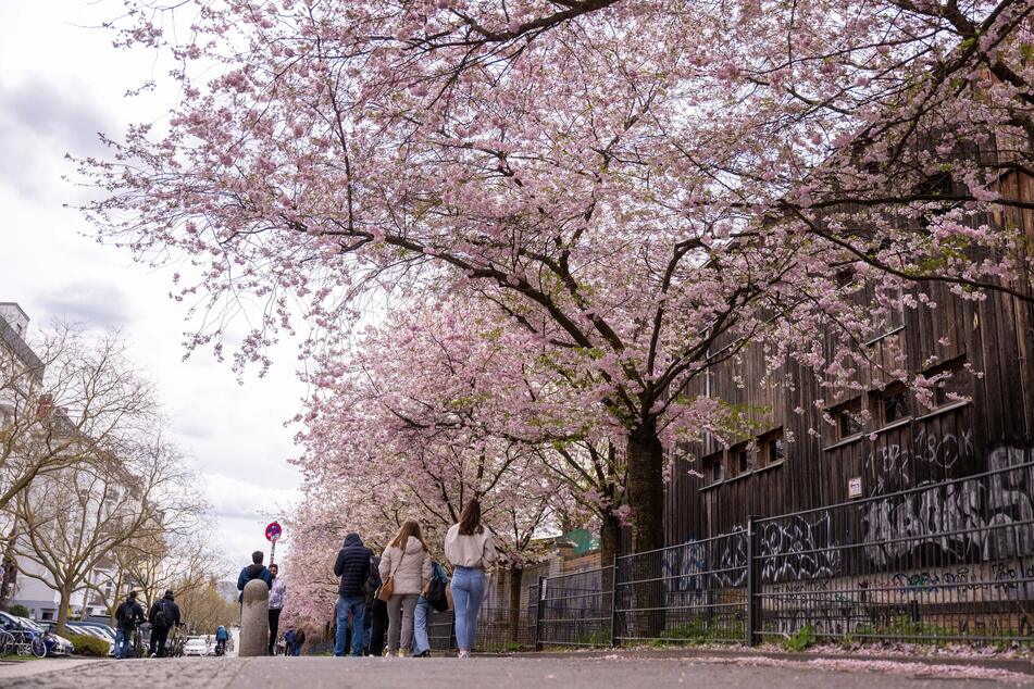 Tagsüber lädt die Sonne zu Spaziergängen ein.