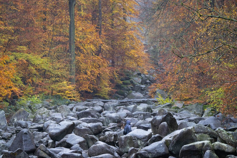 Das Felsenmeer im Odenwald gilt als eine der wichtigsten geologischen Sehenswürdigkeiten Deutschlands. (Archivfoto)