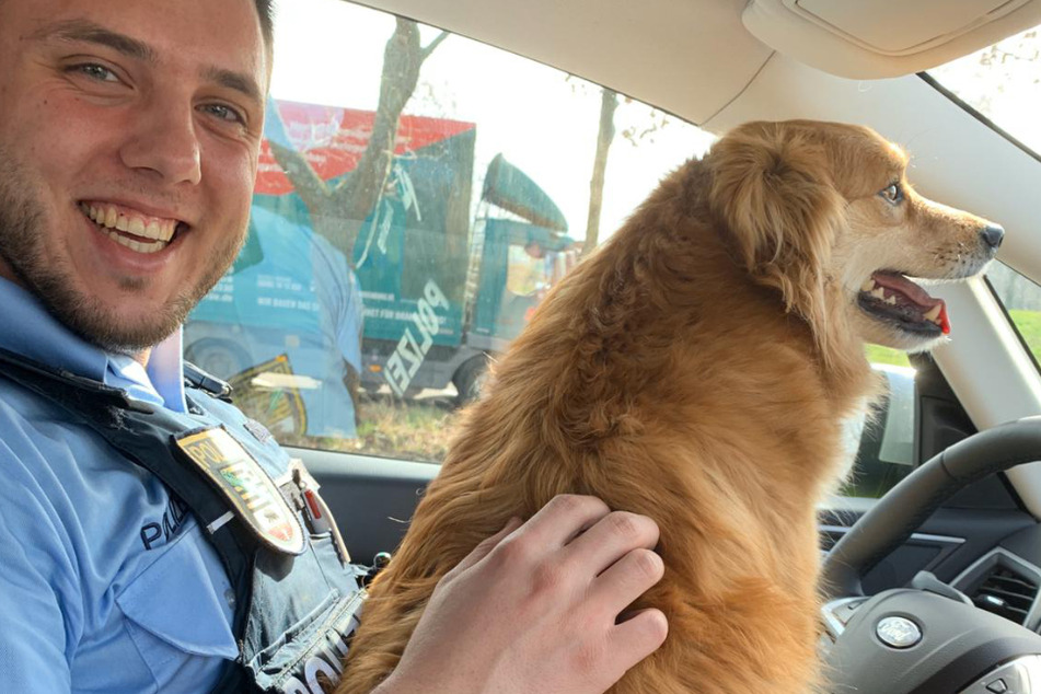 Der flauschige Vierbeiner entschied sich für den Fahrservice der Polizei.