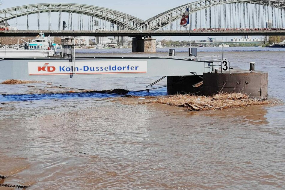 Köln: Öl-Teppich auf dem Rhein in Köln: Maschinist verrechnete sich beim Tanken!