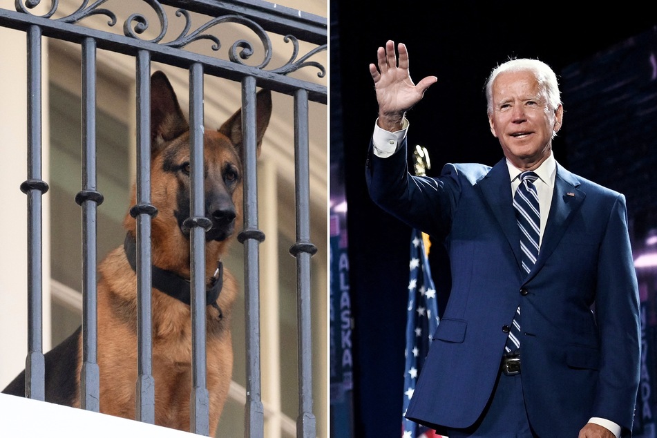 Joe Biden's dog Commander has been kicked out of the White House