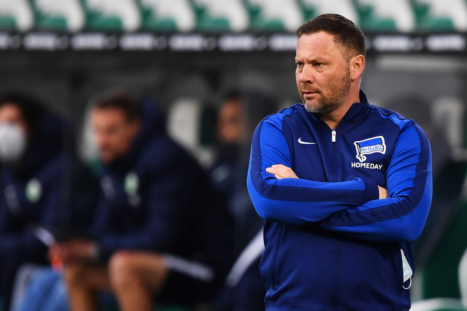 Pal Dardai (44) wartet noch auf seinen ersten Sieg.