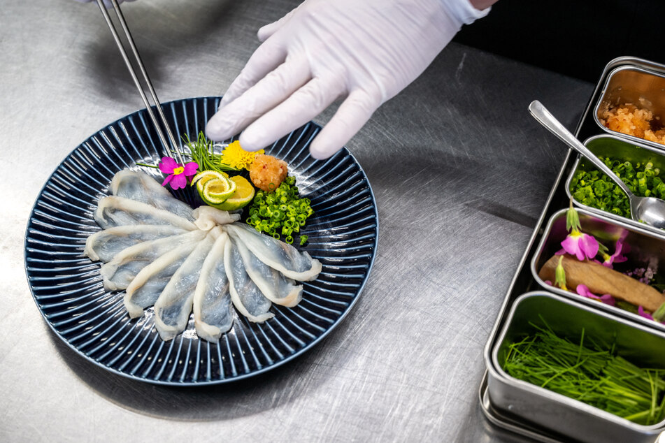 Delikatesse in Japan: Ein Koch bereitet Kugelfisch-Sashimi - rohes Fischfilet, kunstvoll geschnitten. Nur geprüfte Köche dürfen den Fisch zubereiten.