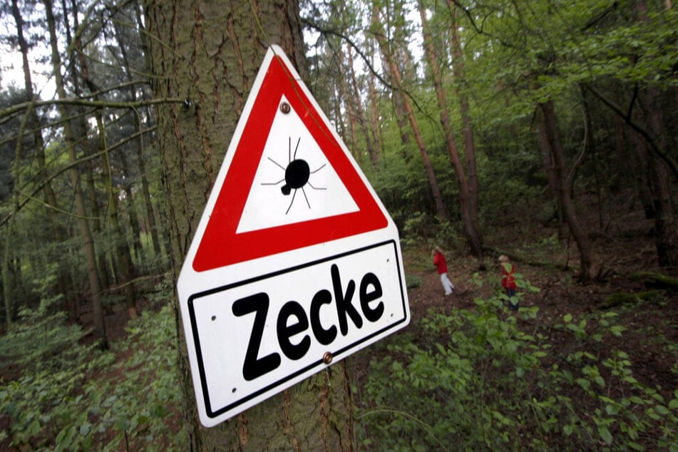 Achtung! Zecken lauern auf Gräsern, Sträuchern und im Unterholz.