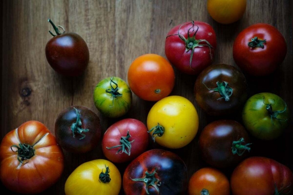 Tomaten belegen Platz 2 der beliebtesten Gemüsesorten der Deutschen.