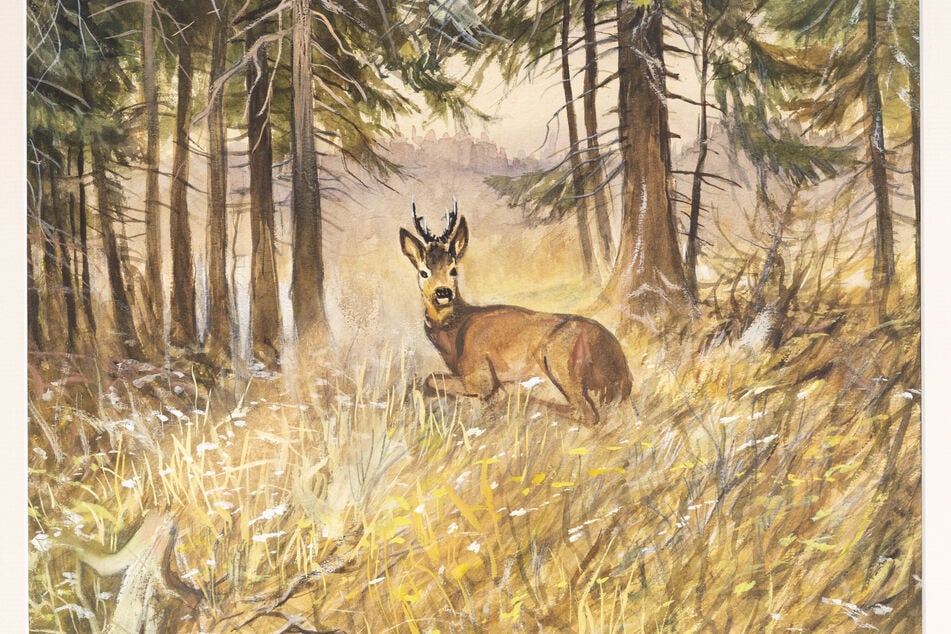 Ein junger Rehbock quert eine Lichtung im Wald.