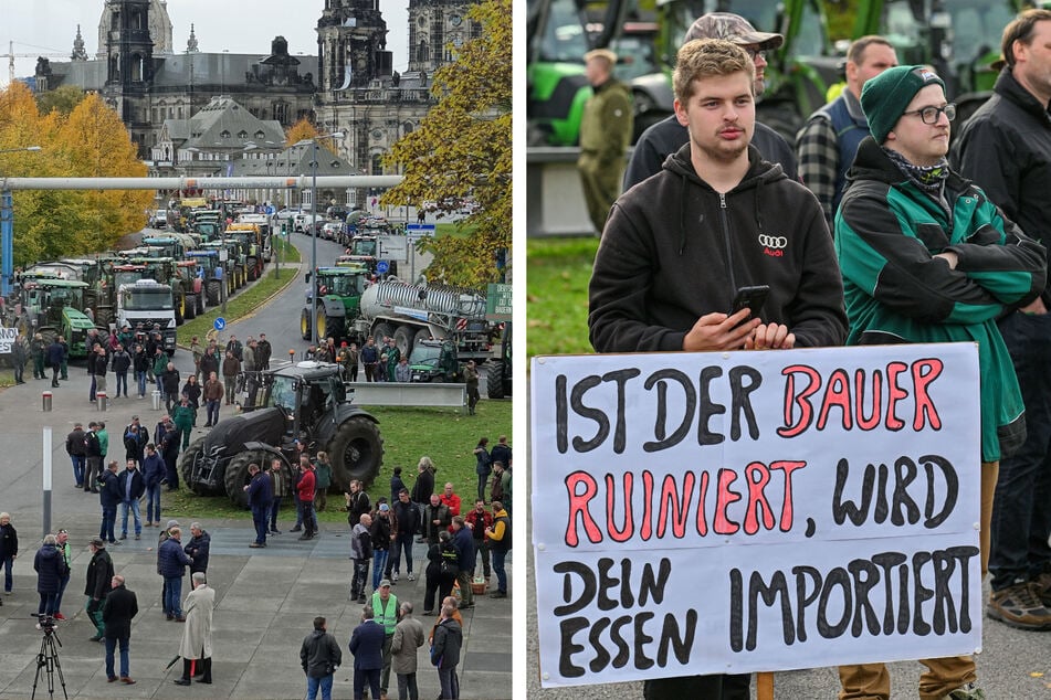 Bauernaufstand vor dem Landtag: So kämpfen jetzt Betriebe um ihre Existenz