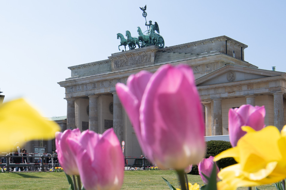 Es wird endlich wärmer in Berlin!