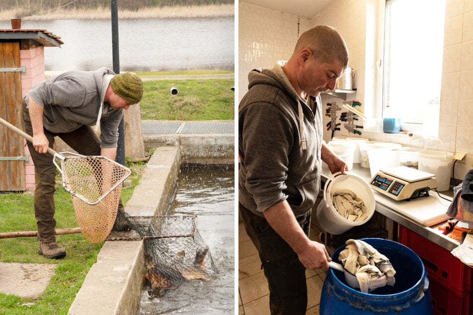 Regionale Produzenten bieten bei dem Festival ihren Fisch an.