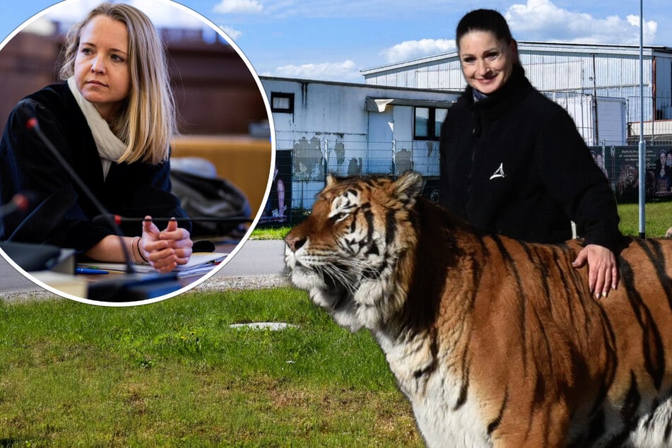 Leipzig: Tiger-Drama bei Leipzig: Staatsanwalt ermittelt gegen Dompteurin
