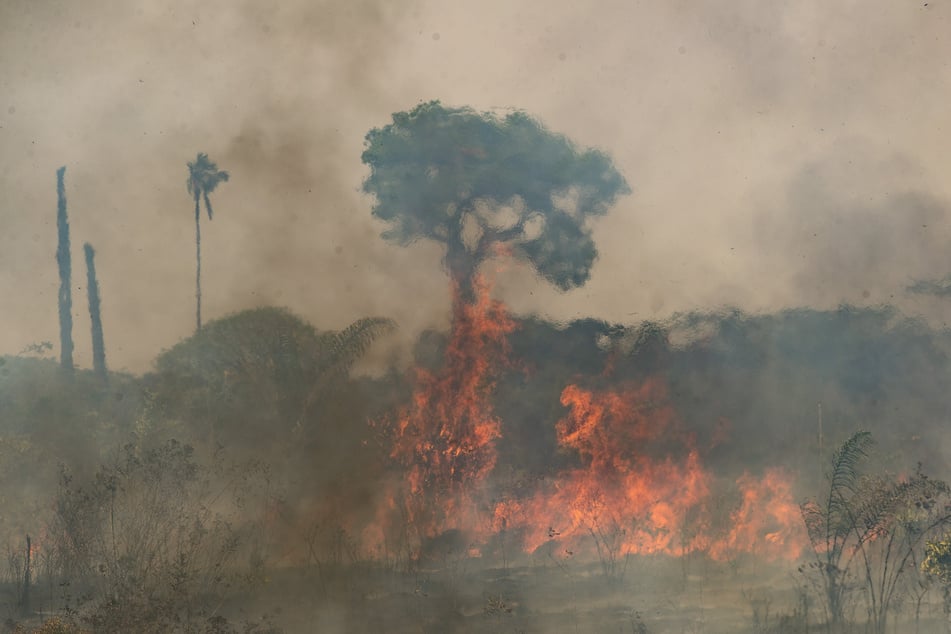Die Waldbrände im vergangenen Jahr erschütterten nicht nur das Land, sondern auch die ganze Welt. Bolsonaro (66) leugnete sie.