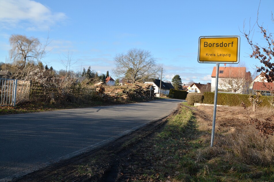 Gleich am Ortseingang von Borsdorf sind sie zu sehen: Die Stapel frisch gefällter Baumfälle, die seit dem Wochenende in dem Ort lagern. Das Holz ist nun Angelegenheit des Landratsamts.