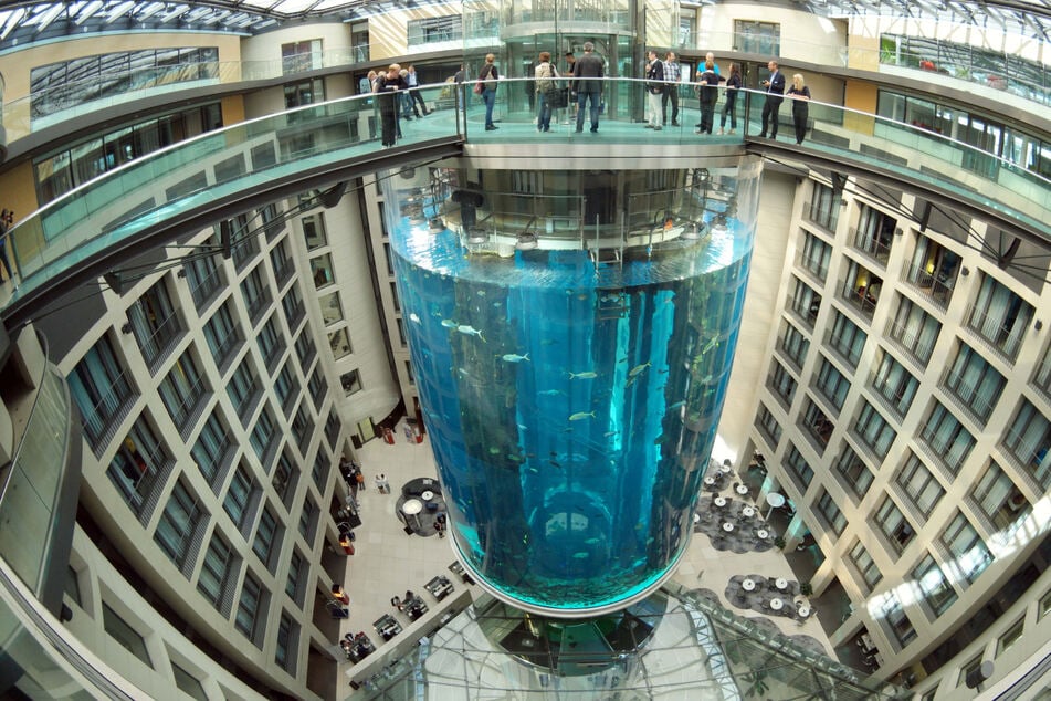 Das 16 Meter hohe Aquarium Aquadom mit 1500 Fischen in dem Hotel nahe dem Alexanderplatz platzte am 16. Dezember in den frühen Morgenstunden.