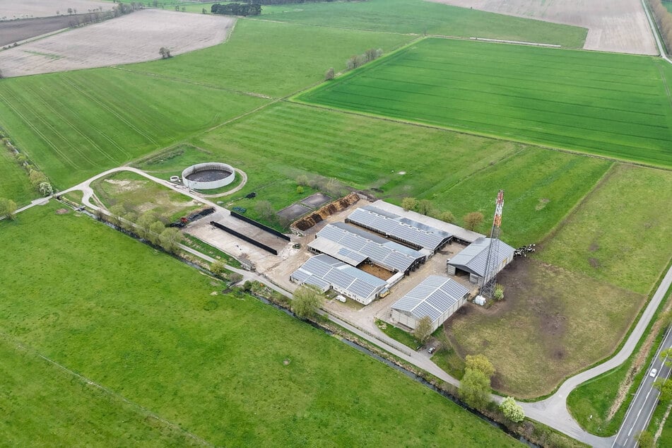 Die Diebe sind durch ein Hintertor auf das Gelände gelangt.