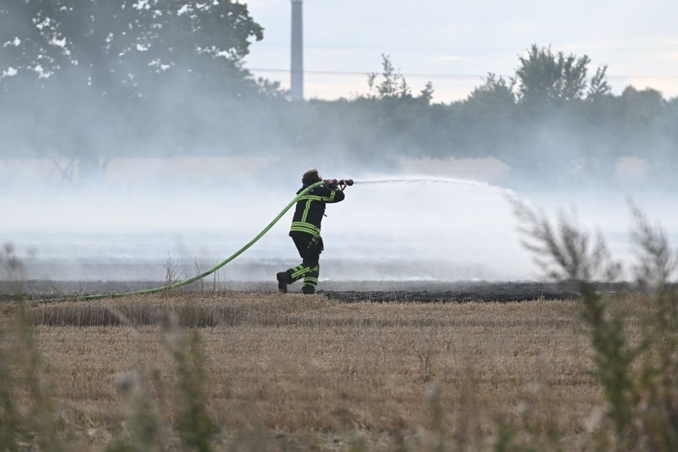 Im Leipziger Westen kam es am Sonntagabend zu einem Feldbrand.