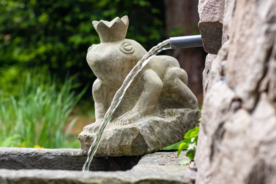 Das beliebte Märchen "Der Froschkönig" gibt's im Wasserschloss Klaffenbach zu sehen. (Symbolbild)