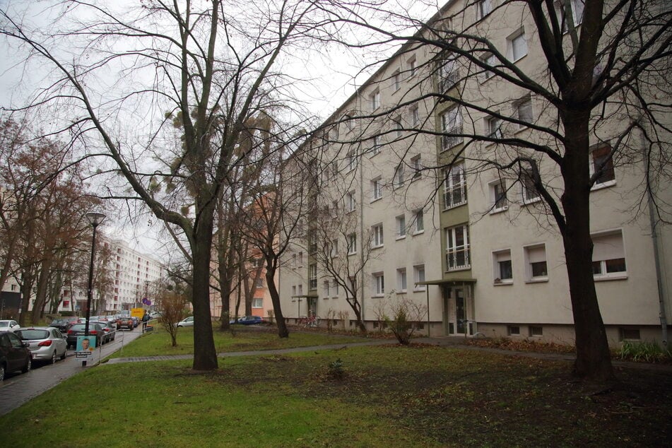 Die Tat ereignete sich im Keller dieses Gebäudes in der Dresdner Altstadt.