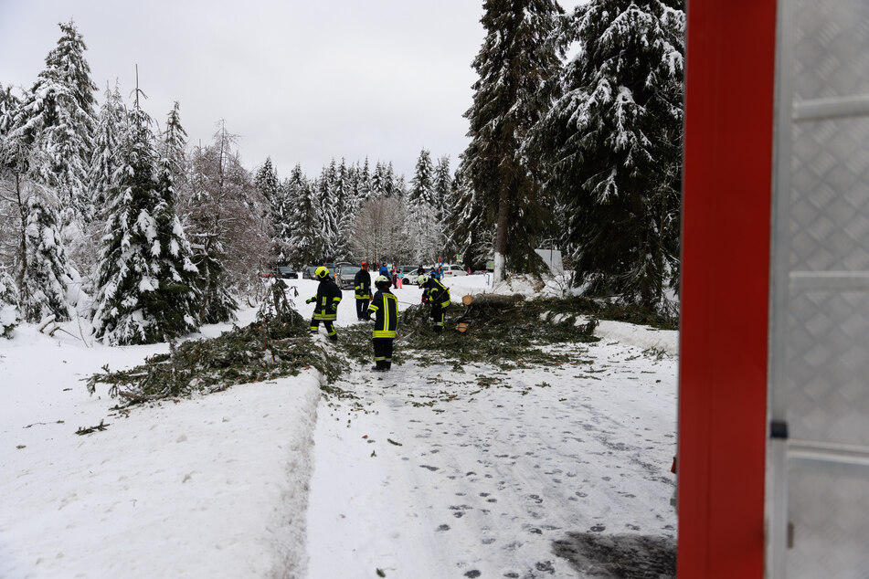 Feuerwehr Oberwiesenthal entfernte auf der S 271 zwischen Oberwiesenthal und Tellerhäuser eine große Fichte von der Fahrbahn.