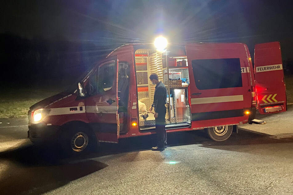 Veterinärinnen kümmerten sich um die Tiere, die von Kölner Beamten am Samstagnachmittag bei einer Kontrolle eines illegalen Tiertransports gefunden wurden.
