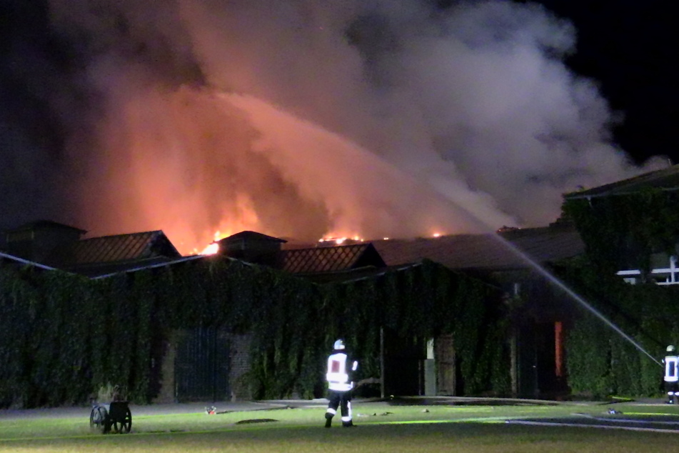 Zahlreiche Einsatzkräfte kämpften gegen die Flammen in einem Gestüt in Kaarst.