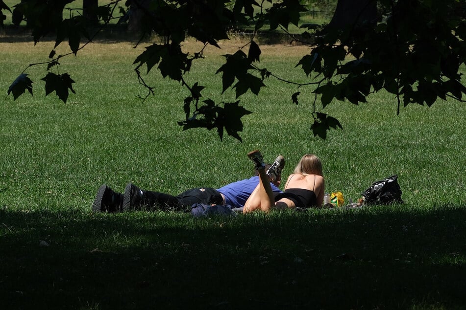 In den Park chillen und die Sonne genießen - in dieser Woche absolut möglich. (Archivbild)