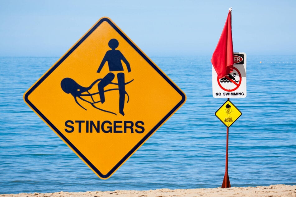 When going to the beach in Australia, read and respect the signs!