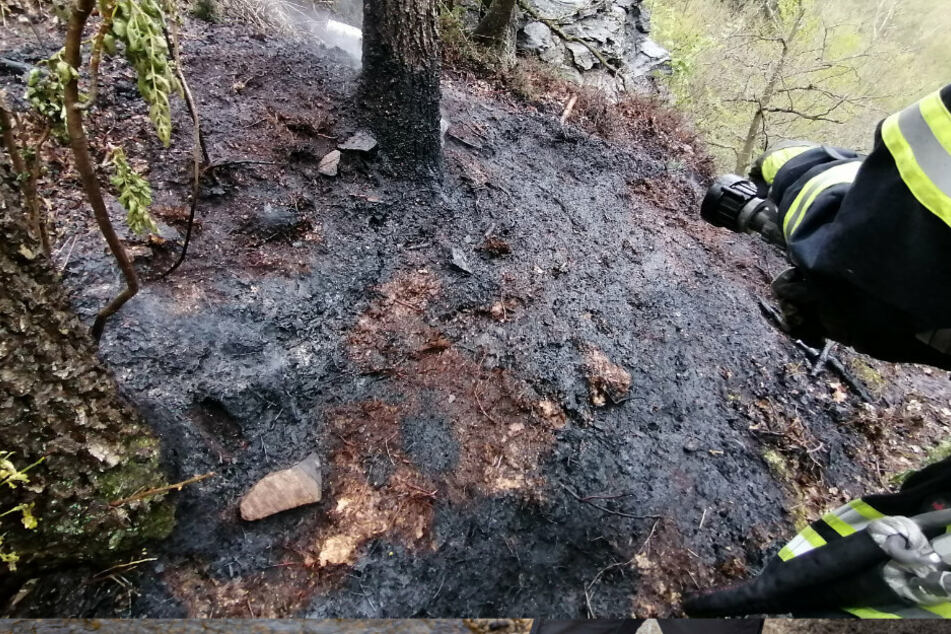 Etwa 30 Quadratmeter Waldboden standen in Flammen.