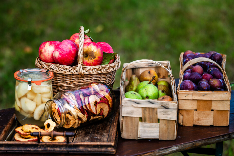 Äpfel, Birnen und Pflaumen gibt es dieses Jahr reichlich - höchste Zeit, das Obst zu verwerten.