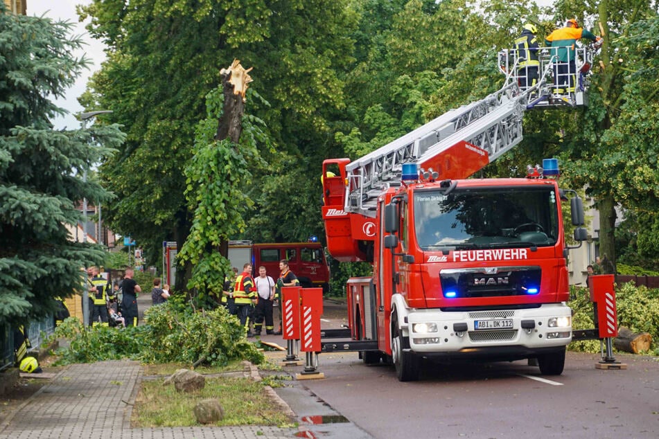 Gewitter-Front fegt über Deutschland: So ist die Lage in Sachsen-Anhalt